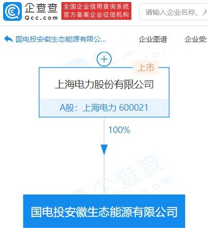 上海電力增設生態能源新公司 發力新興能源技術研發與低碳轉型